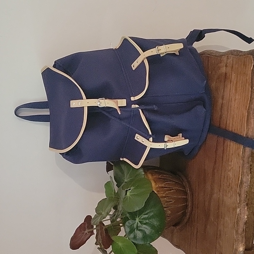 Uniqlo x JW Canvas Navy Backpack
